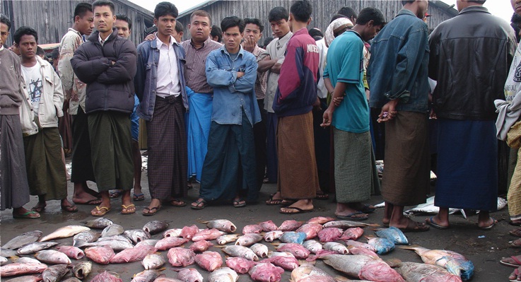 Fish Market