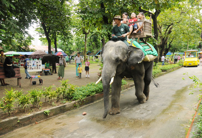 yangon-zoo1